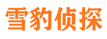 宁陕侦探公司